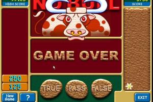 No Bull 1