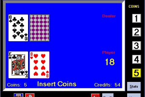 Noisy Video Poker and Blackjack 5