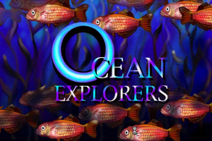 Ocean Explorers 0