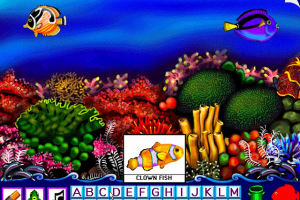Ocean Explorers 11