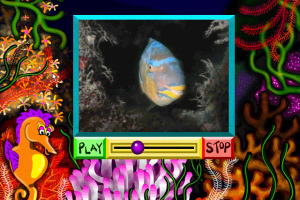 Ocean Explorers 3