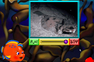 Ocean Explorers 7