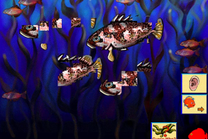 Ocean Explorers 8