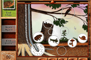 One Small Square: Backyard 9