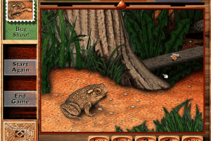 One Small Square: Backyard 10