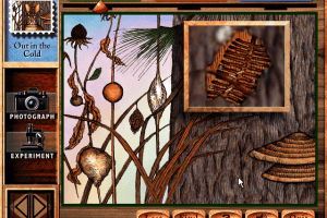 One Small Square: Backyard 2