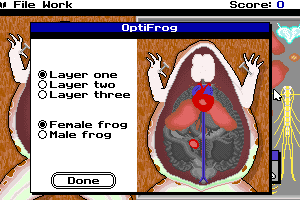 Operation: Frog 10