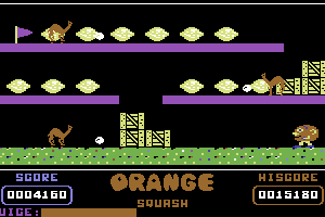 Orange Squash 3