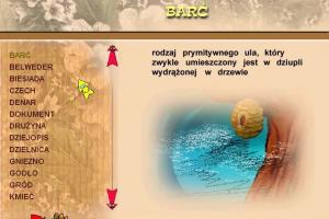 Orle Gniazdo 1