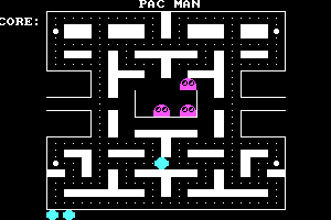 Pac Man 0