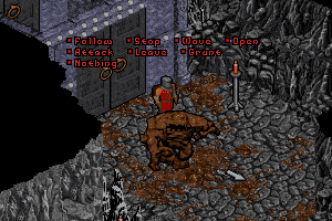 Pagan: Ultima VIII 14