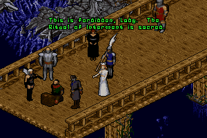 Pagan: Ultima VIII 3