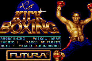 Panza Kick Boxing 0