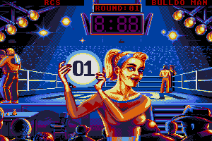 Panza Kick Boxing abandonware