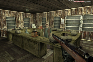 Pathologic 29