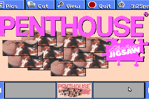 Penthouse Electric Jigsaw 0