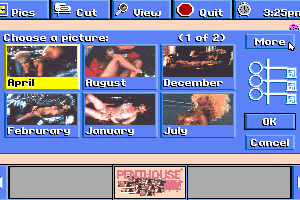Penthouse Electric Jigsaw 2