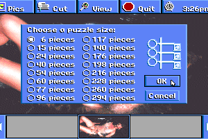 Penthouse Electric Jigsaw 5