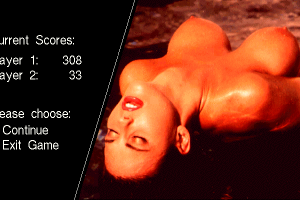 Penthouse Hot Numbers Deluxe 26