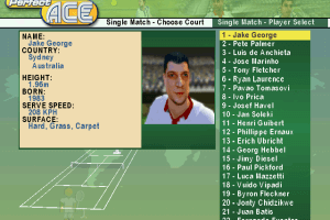 Perfect Ace: Pro Tournament Tennis 4