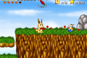Perky Rabbit 6