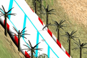 Pet Jumping 13