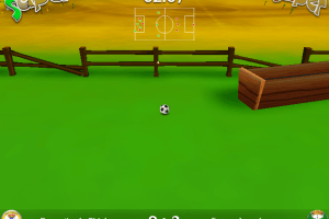Pet Soccer 16