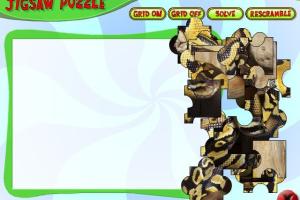 Pet Vet 10