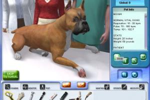 Pet Vet 12