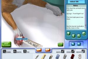 Pet Vet 15