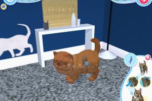 Petz: Catz 2 3