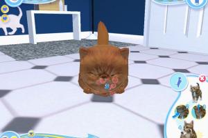 Petz: Catz 2 4