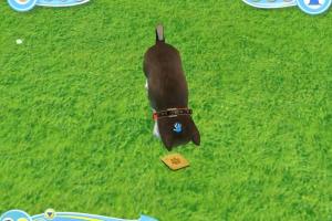 Petz: Dogz 2 2