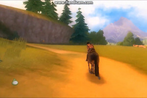 Petz: Horsez 2 9