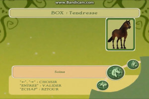 Petz: Horsez 2 2