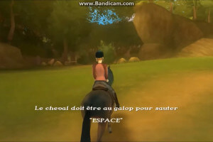 Petz: Horsez 2 6