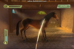 Petz: Horsez 2 8