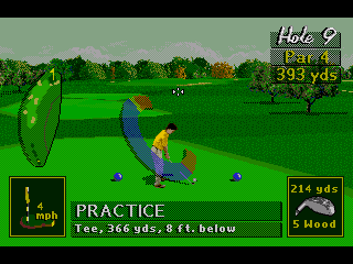 PGA Tour 96 4