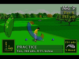 PGA Tour 96 abandonware