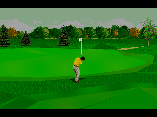 PGA Tour 96 8