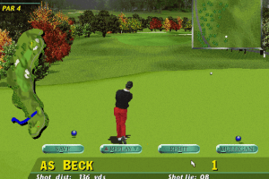 PGA Tour 96 12