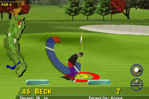 PGA Tour 96 15