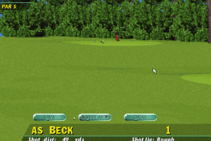 PGA Tour 96 19