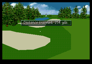PGA Tour Golf III 8