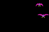 Phoenix 7