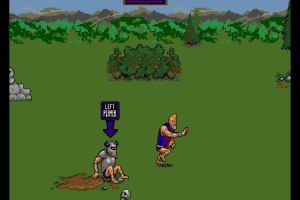 Pigskin 621 AD 6