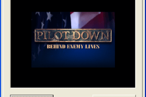 Pilot Down: Behind Enemy Lines 0