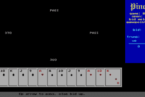 Pinocle Games 4