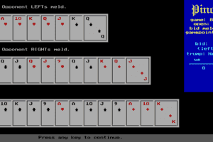 Pinocle Games 5