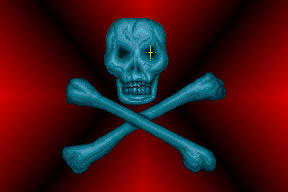 Pirates 4